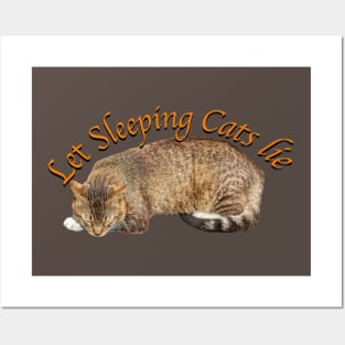 Let sleeping cats lie! Posters and Art